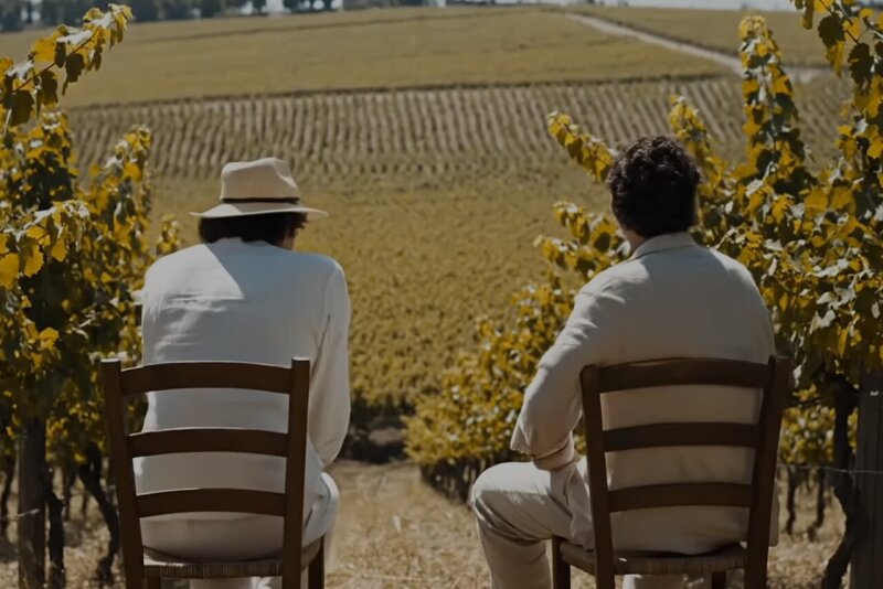 Two man looking over vineyard.