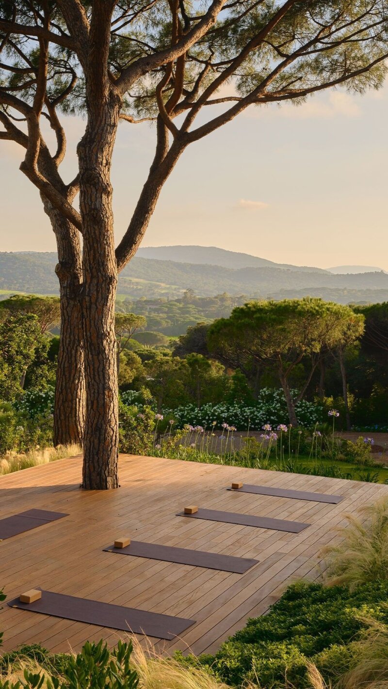 Yoga mats under a tree with a view of the hills.