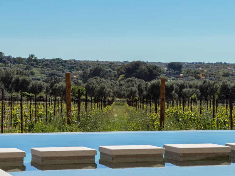 Swimming pool looking over the vineyards.